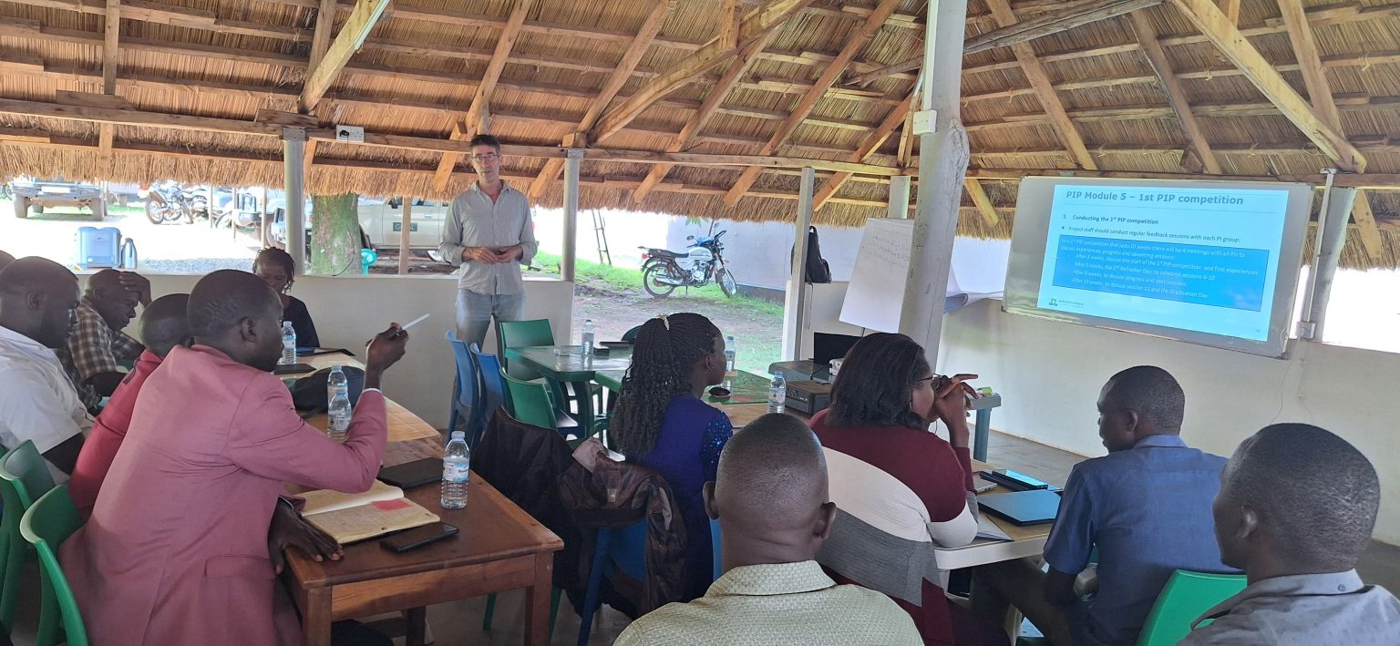 Training options to apply the PIP approach in your programs